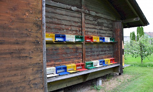 Bienenhaus Bienenlehrpfad Pfäffikon, Foto: Patrizia Pfister